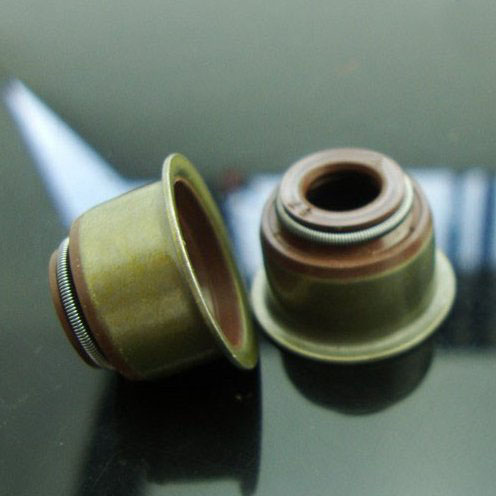 sello de v&aacute;stago de v&aacute;lvula (10)