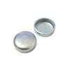 Enchufe de congelación de zinc blanco y hierro de 21 mm